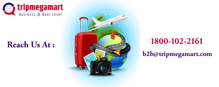 Become A Travel Agent, Earn Huge Start A Travel Business Today.webp